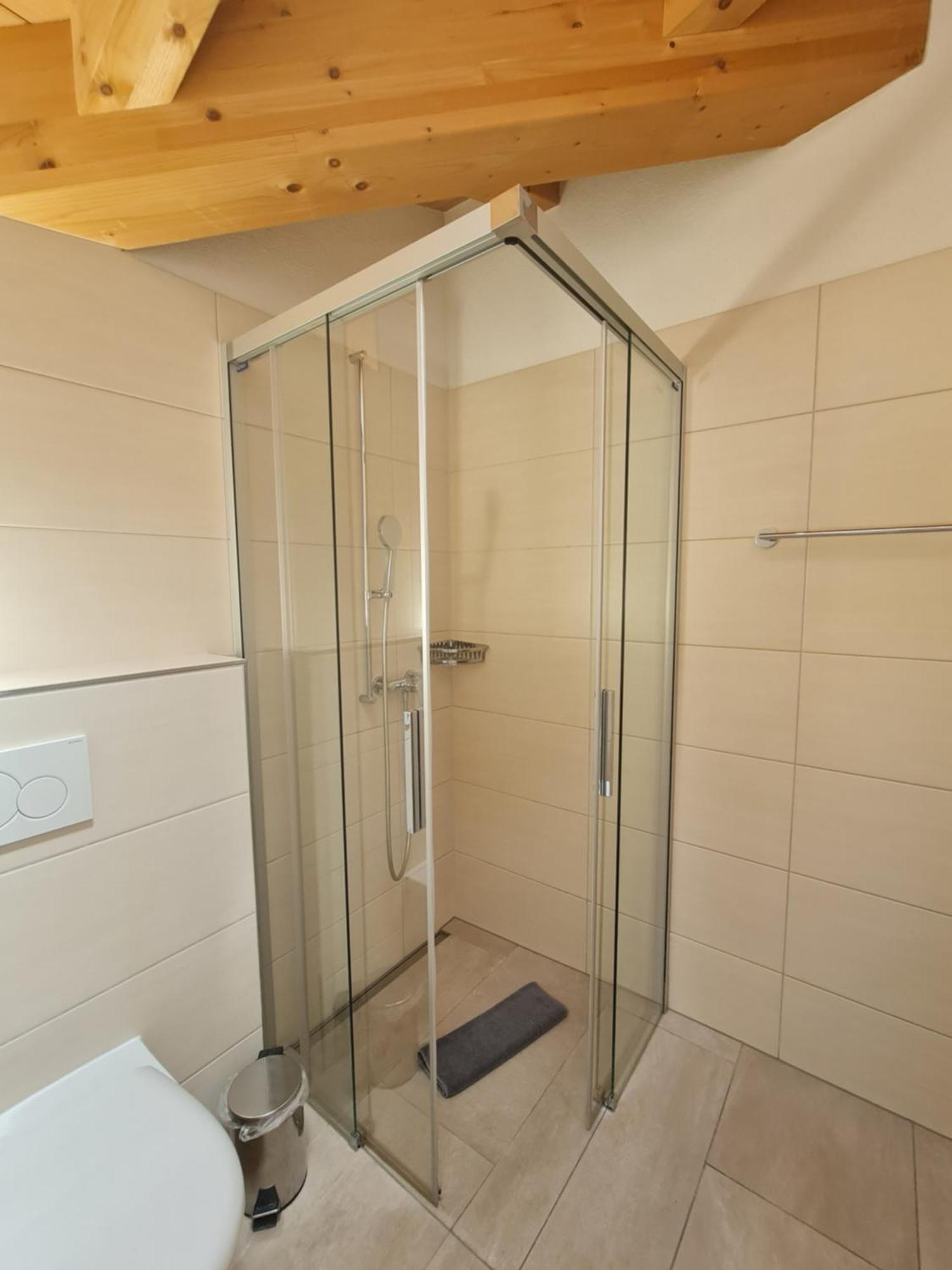Apartamento Jungfrau Penthouse - Aare Jungfrau Ag Wilderswil Exterior foto